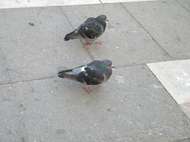 DSCN6217