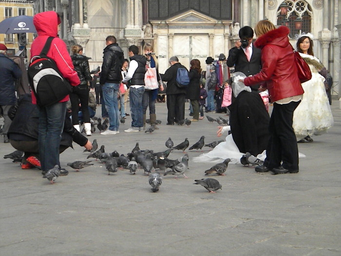 DSCN6436