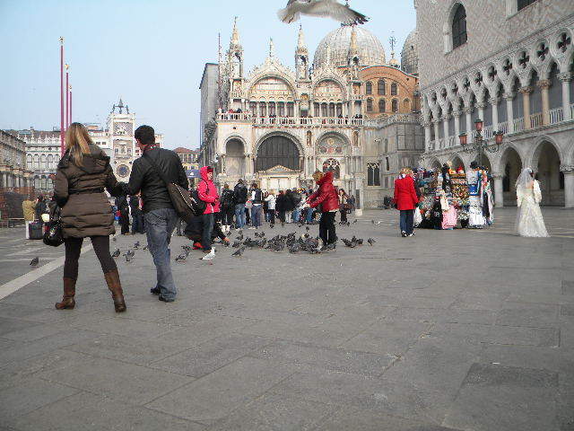 DSCN6437