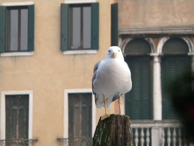 DSCN6596