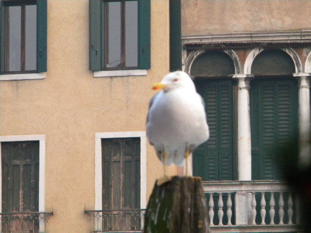 DSCN6597