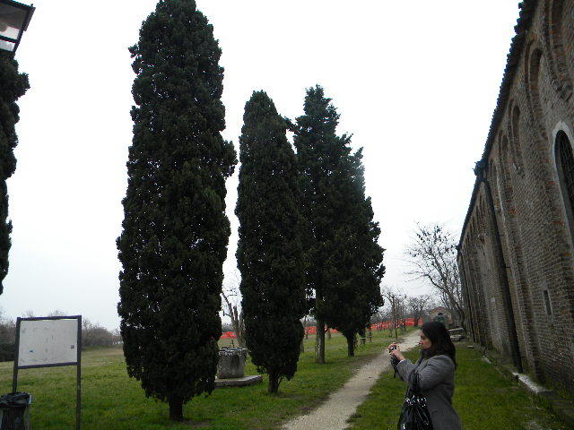 DSCN6814 - duminica-13_02_2011