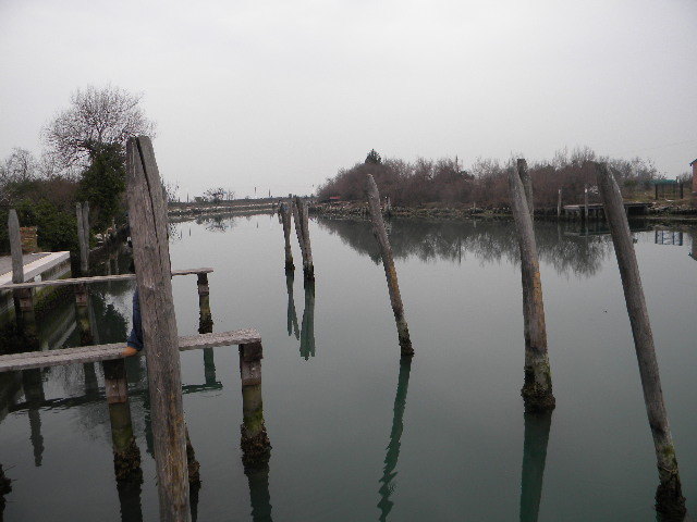 DSCN6817 - duminica-13_02_2011