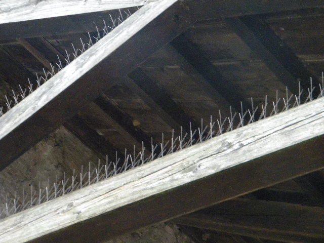 DSCN6821 - duminica-13_02_2011
