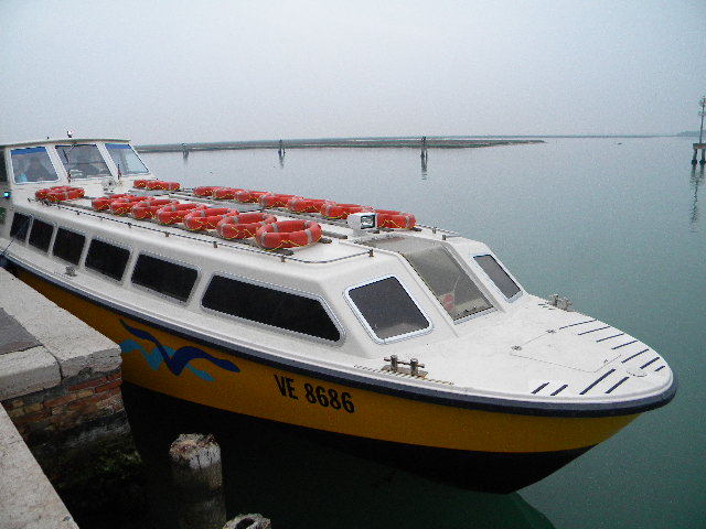 DSCN6849 - duminica-13_02_2011