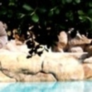 6 - Elizabeth-puzzle