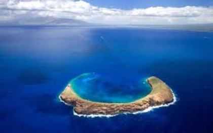 isula hawaiianca - hawaii