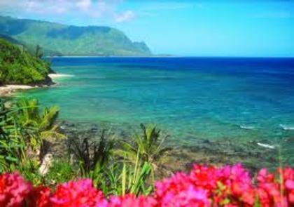 flori din hawaii - hawaii