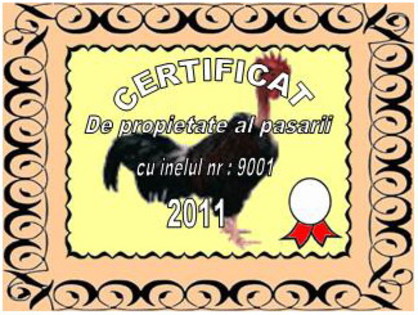 certificatgaini1