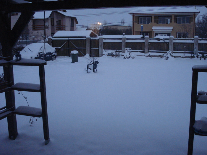 2010, January 20 - 01 Garden in January