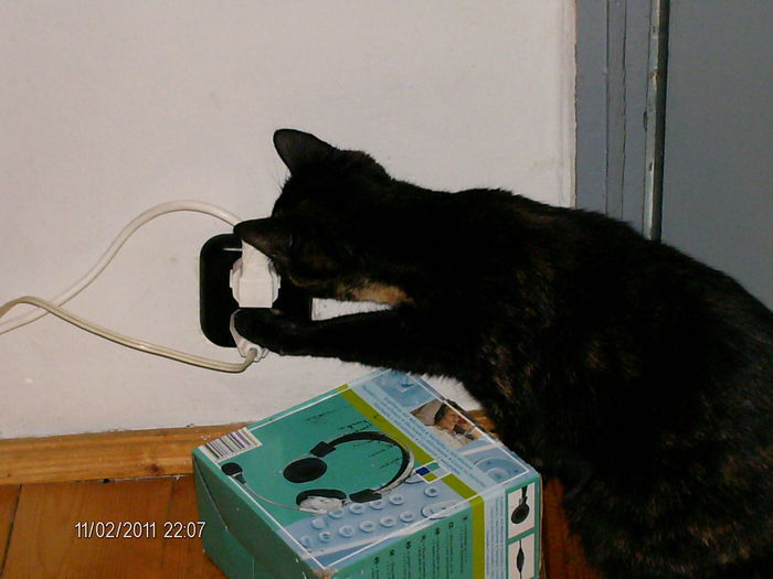 ce o mai fii si asta.. - mita _2011