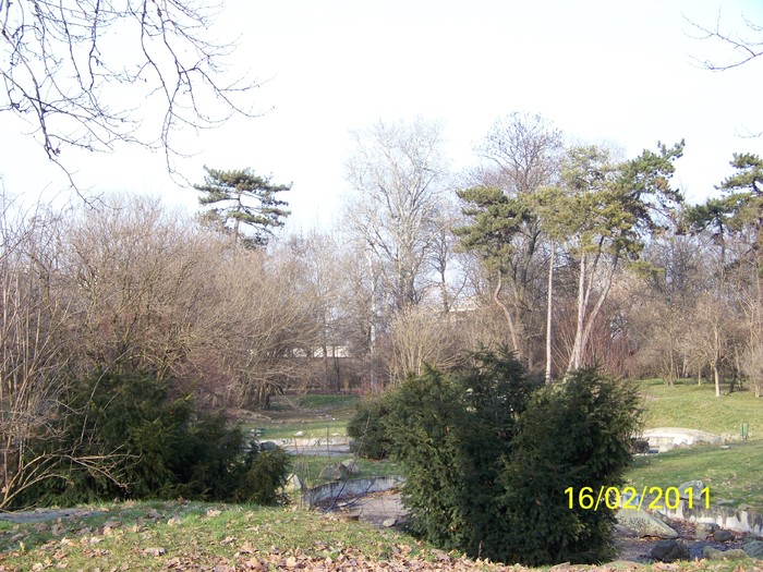 100_8928 - Parcul Botanic Timisoara