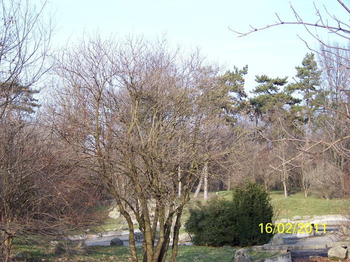 100_8929 - Parcul Botanic Timisoara