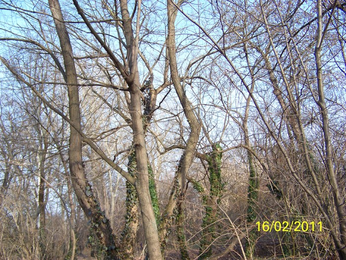 100_8941