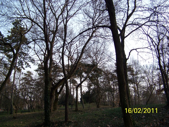 100_8945