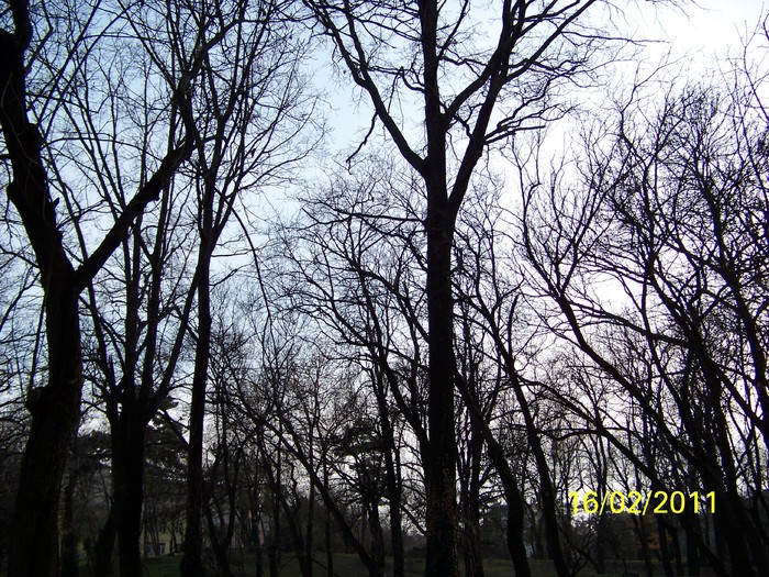 100_8959 - Parcul Botanic Timisoara