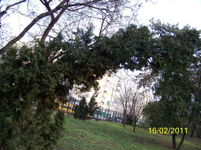 100_8964 - Parcul Botanic Timisoara