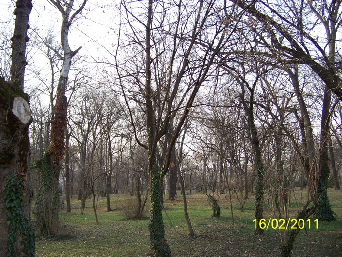 100_8968 - Parcul Botanic Timisoara