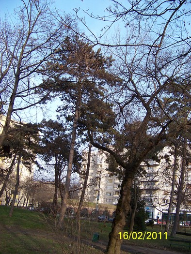100_8972 - Parcul Botanic Timisoara
