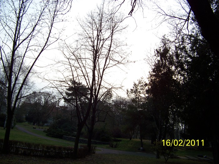 100_8991 - Parcul Botanic Timisoara