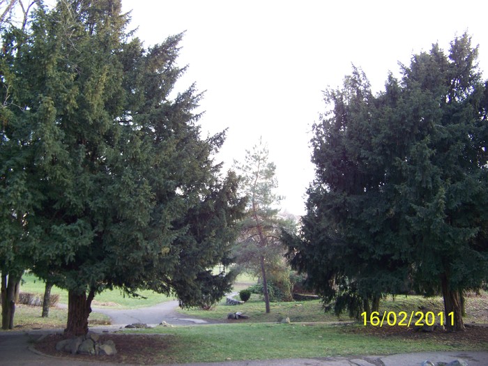 100_8993 - Parcul Botanic Timisoara