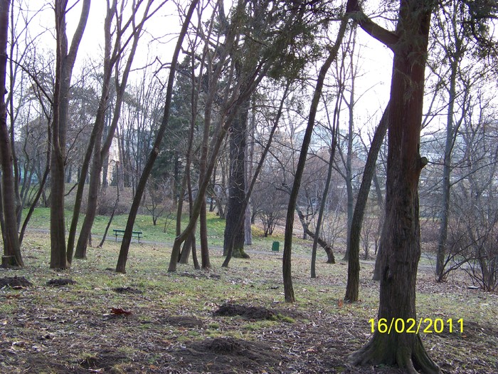 100_8996 - Parcul Botanic Timisoara