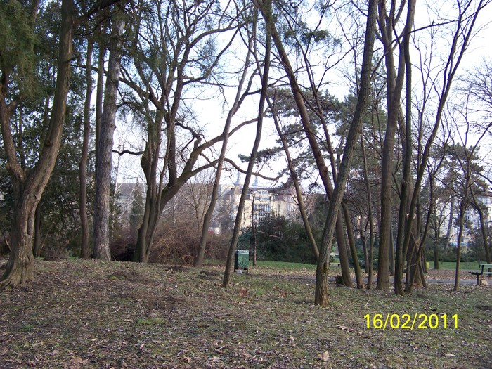 100_8998 - Parcul Botanic Timisoara