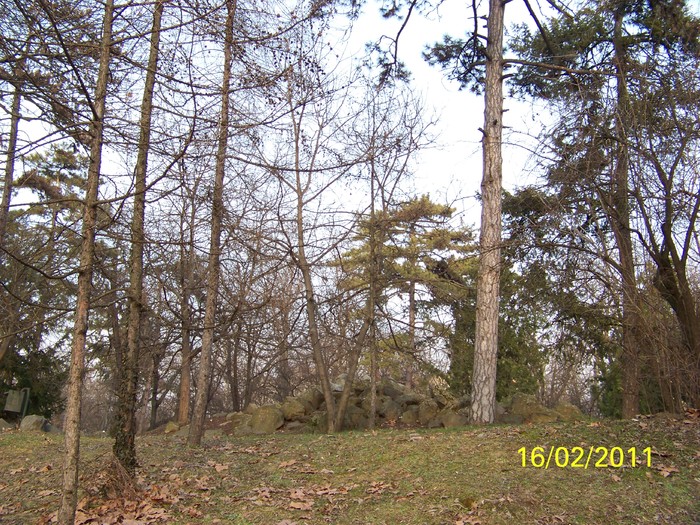 100_9000 - Parcul Botanic Timisoara