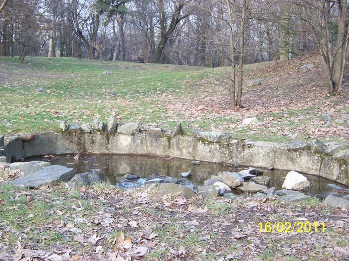 100_9002 - Parcul Botanic Timisoara