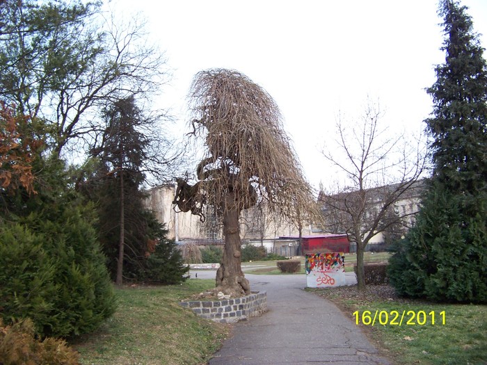 100_9025