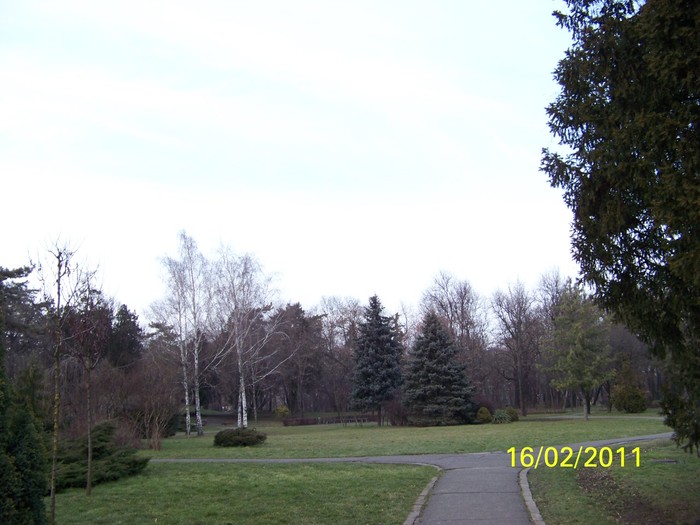 100_9029