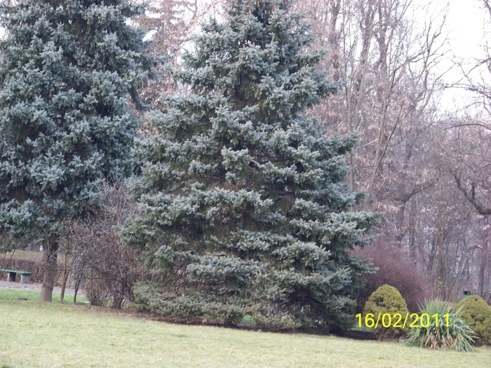 100_9032