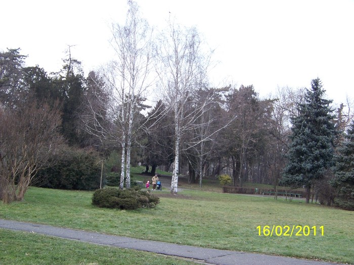 100_9033