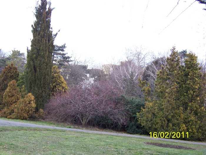 100_9034