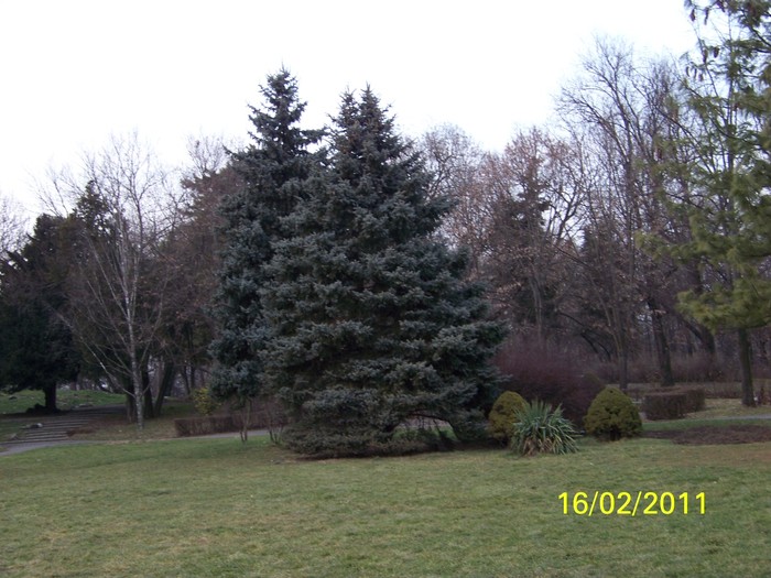 100_9036