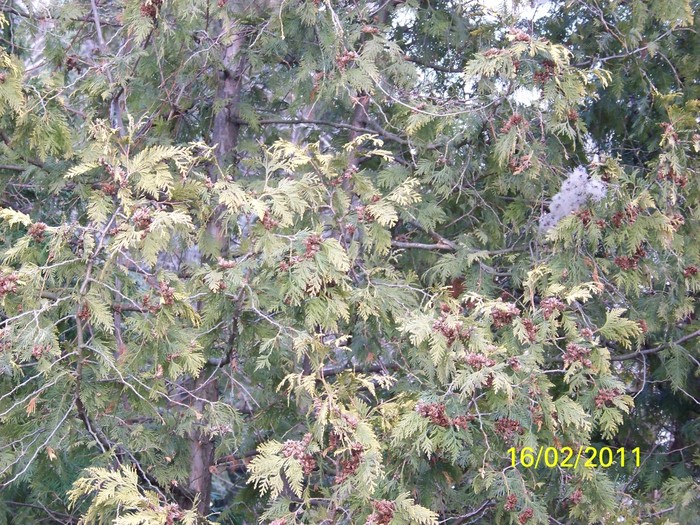 100_9041