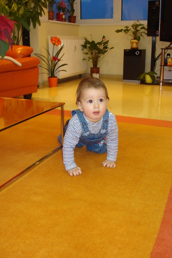 SA FUG,MA CAUTA DELIA:))