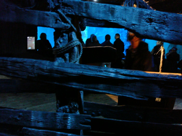 DSC06660 - AQUARIUM LONDRA