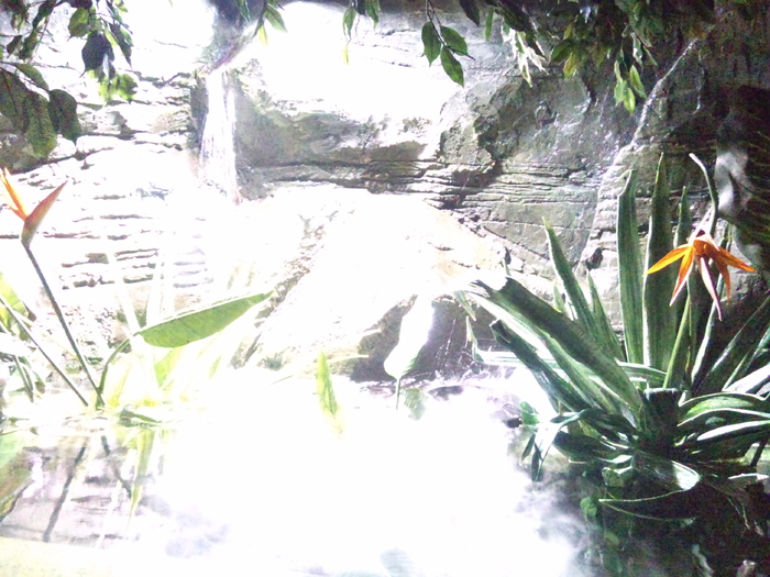 DSC_0071 - AQUARIUM LONDRA