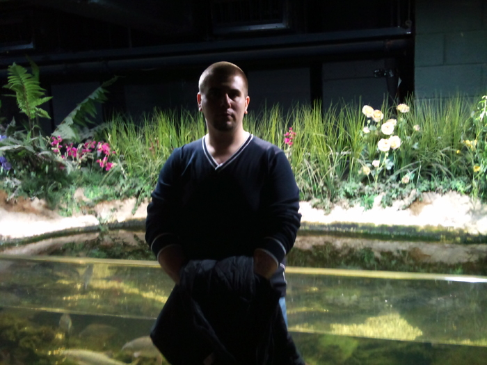 DSC_0113 - AQUARIUM LONDRA