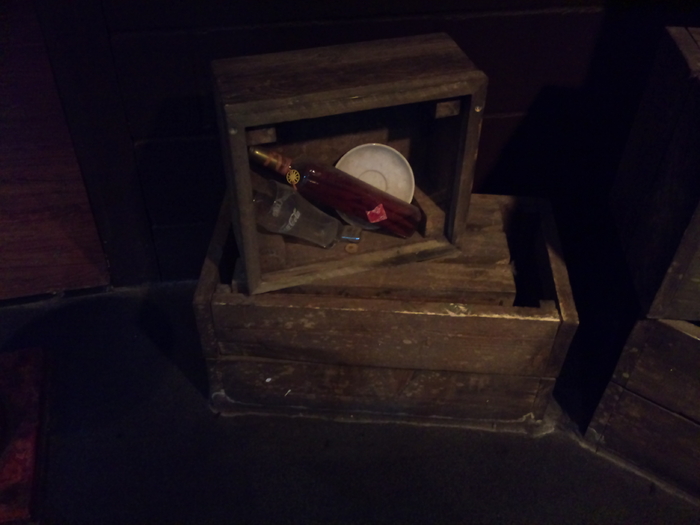 DSC_0120 - AQUARIUM LONDRA