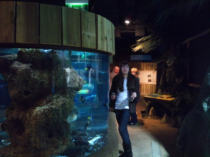 DSC_0135 - AQUARIUM LONDRA