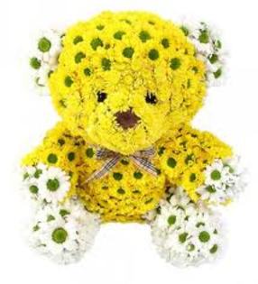 ursulet din crizanteme