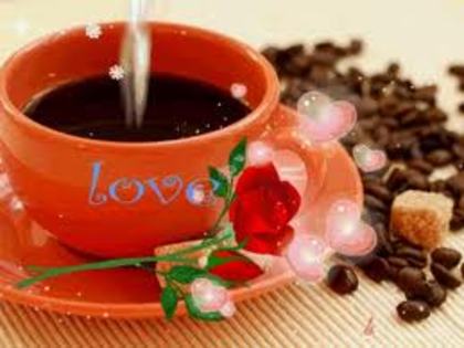 bbb - flori si cafea123