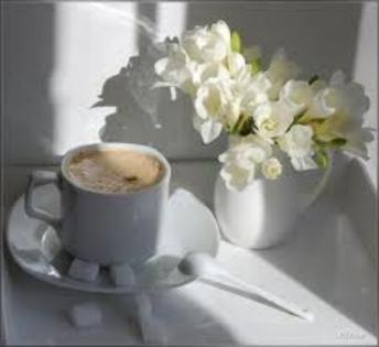 images - flori si cafea123