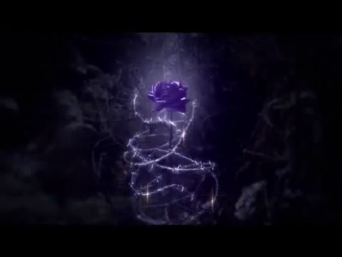 bscap0052 - Forbidden Rose - Comerciar TV Perfumes