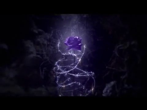 bscap0053 - Forbidden Rose - Comerciar TV Perfumes