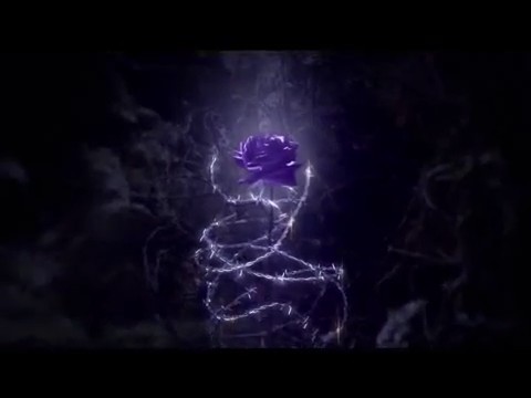 bscap0054 - Forbidden Rose - Comerciar TV Perfumes
