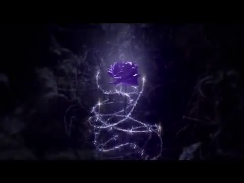bscap0057 - Forbidden Rose - Comerciar TV Perfumes