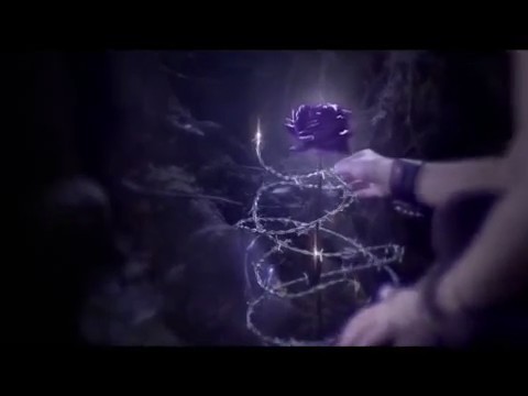 bscap0072 - Forbidden Rose - Comerciar TV Perfumes